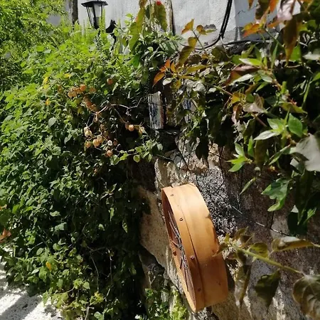 Apartamento Casa Portugueza Experience *