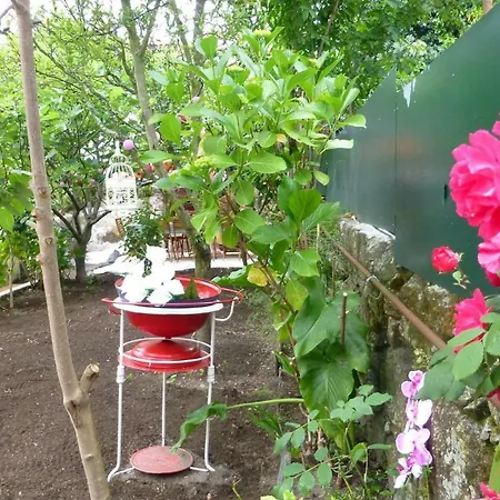 Casa Portugueza Experience *