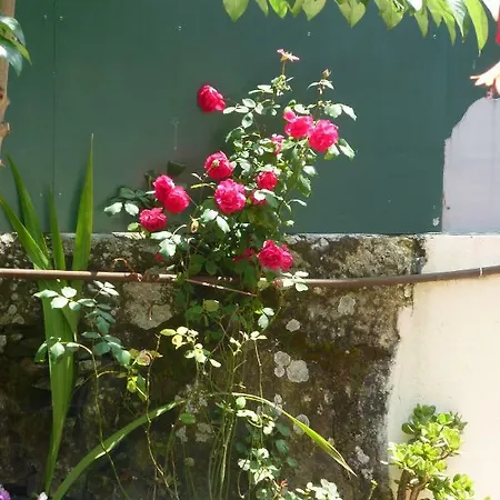 Apartamento Casa Portugueza Experience