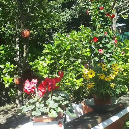 Apartment Casa Portugueza Experience