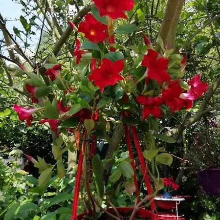 Casa Portugueza Experience شقة بورتو