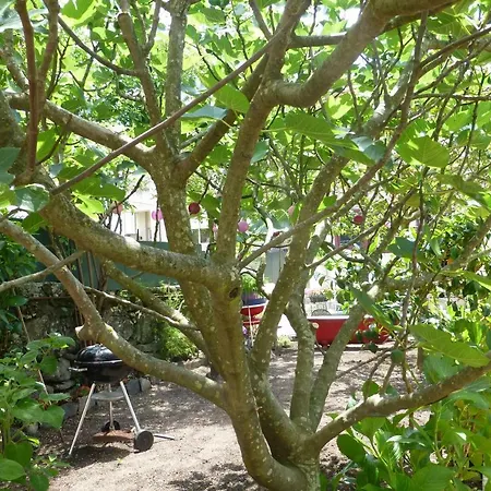 Casa Portugueza Experience * بورتو