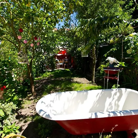 Casa Portugueza Experience