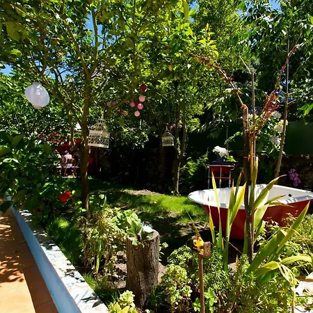 Casa Portugueza Experience