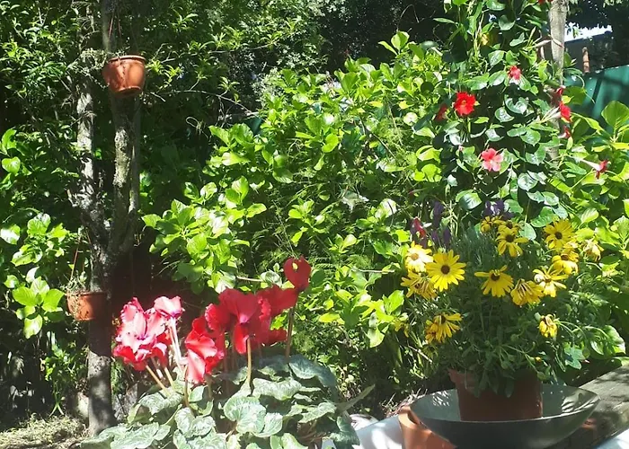 شقة Casa Portugueza Experience