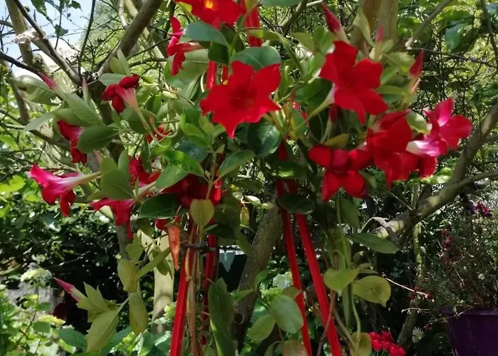 Casa Portugueza Experience شقة بورتو