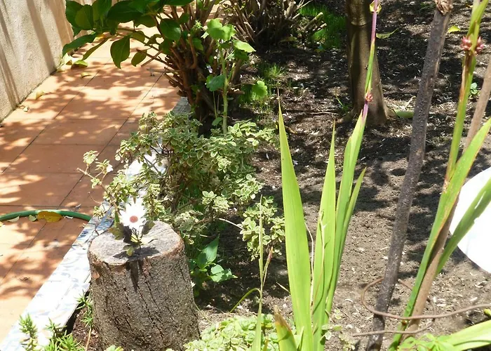 Casa Portugueza Experience