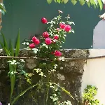 アパート Casa Portugueza Experience