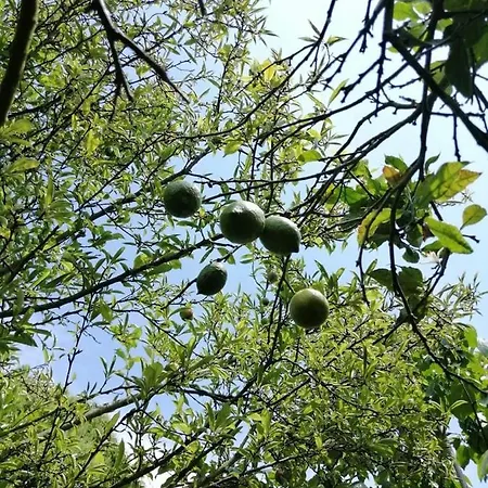Casa Portugueza Experience Oporto