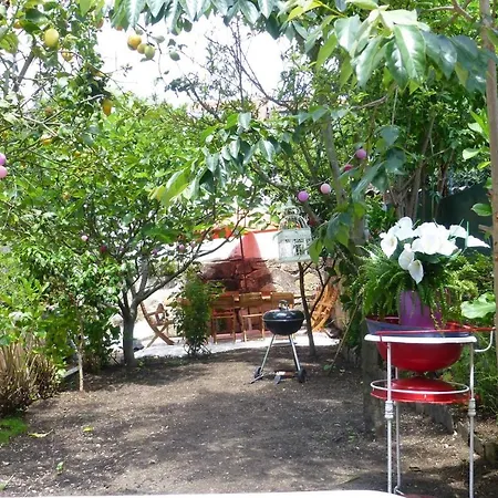 アパート Casa Portugueza Experience