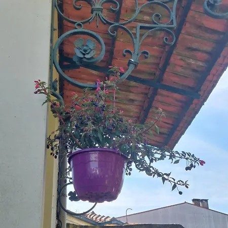 Casa Portugueza Experience ポルト