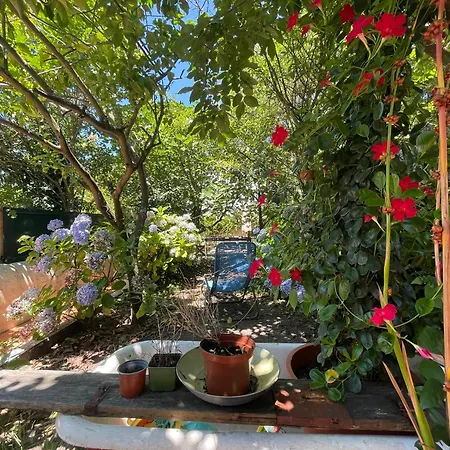 Casa Portugueza Experience アパート *