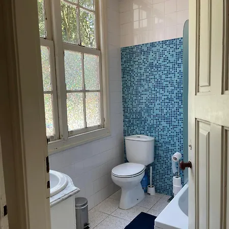 Casa Portugueza Experience Appartamento Oporto