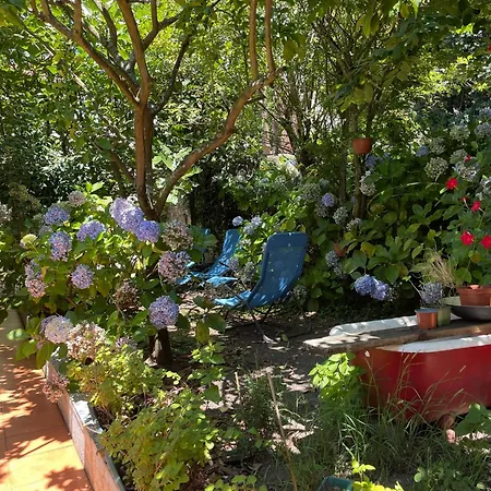 Casa Portugueza Experience Διαμέρισμα