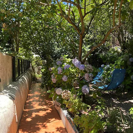 Casa Portugueza Experience Daire Porto