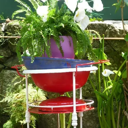 Casa Portugueza Experience * ポルト