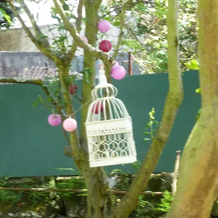 Casa Portugueza Experience Oporto