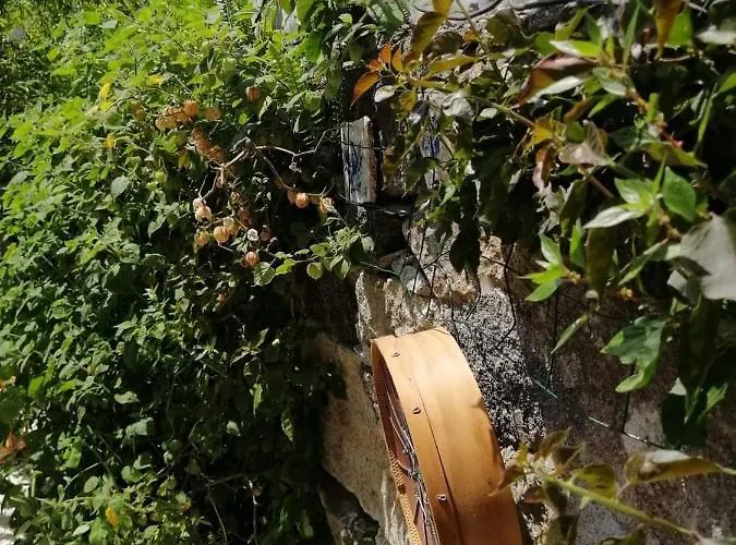 Appartement Casa Portugueza Experience *