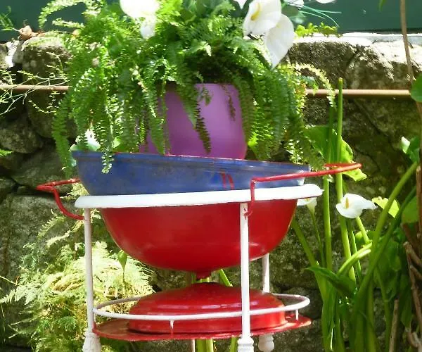 Casa Portugueza Experience * Oporto