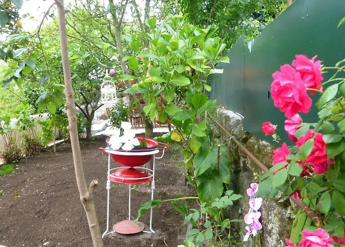 Casa Portugueza Experience *