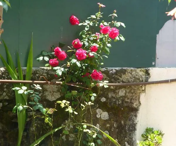 Appartement Casa Portugueza Experience