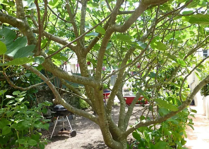 Casa Portugueza Experience * Porto