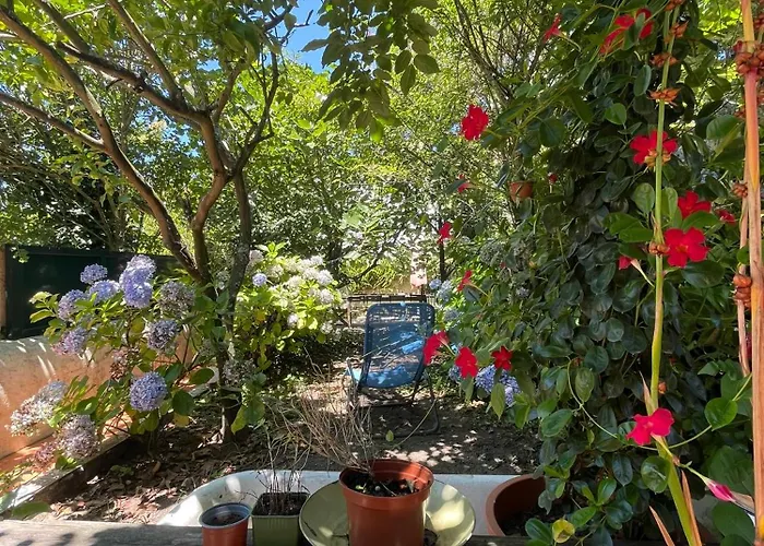 Casa Portugueza Experience Lejlighed *