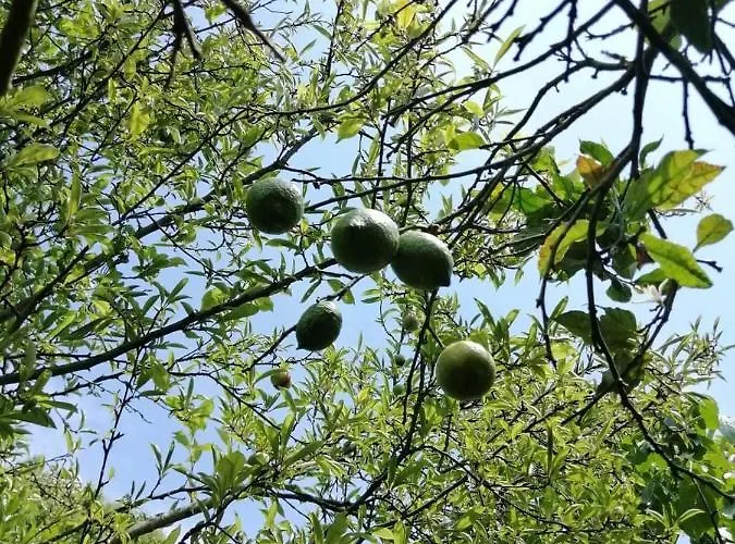 Casa Portugueza Experience פורטו