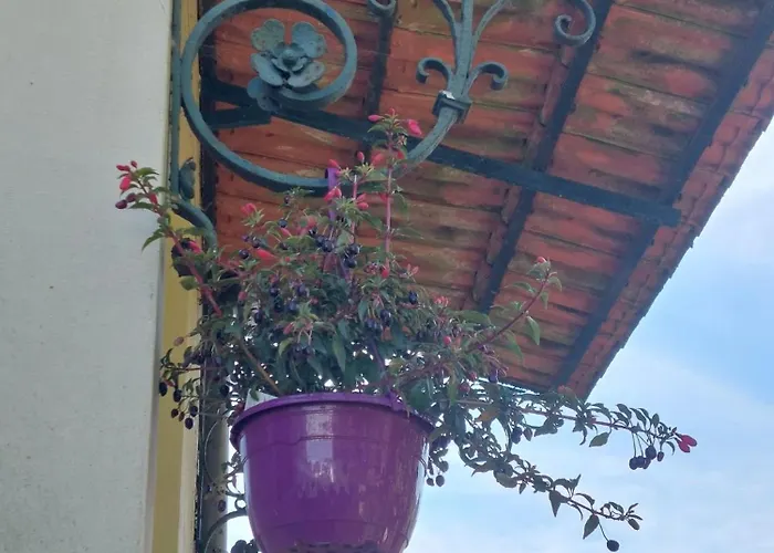 Casa Portugueza Experience פורטו