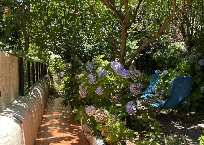 Casa Portugueza Experience דירה פורטו