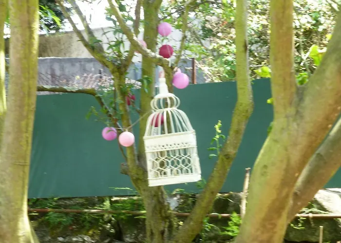 Casa Portugueza Experience פורטו